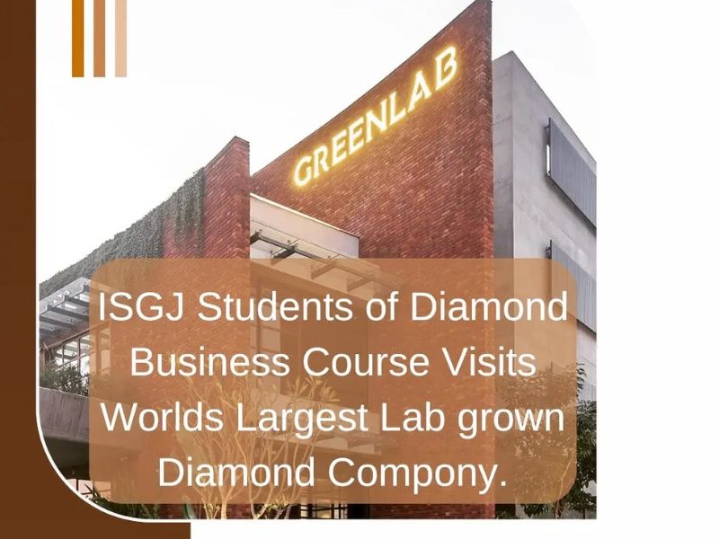 Green Lab Diamond Factory visit 5